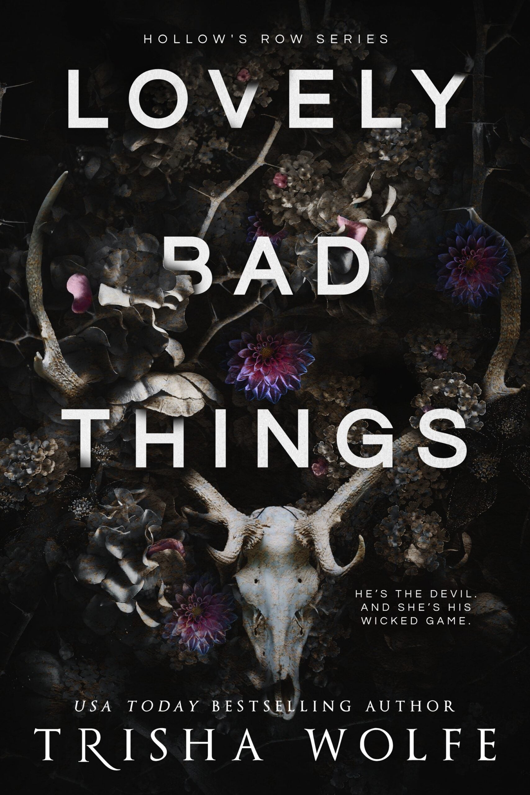 Lovely Bad Things (Hollow's Row, #1) by Trisha Wolfe