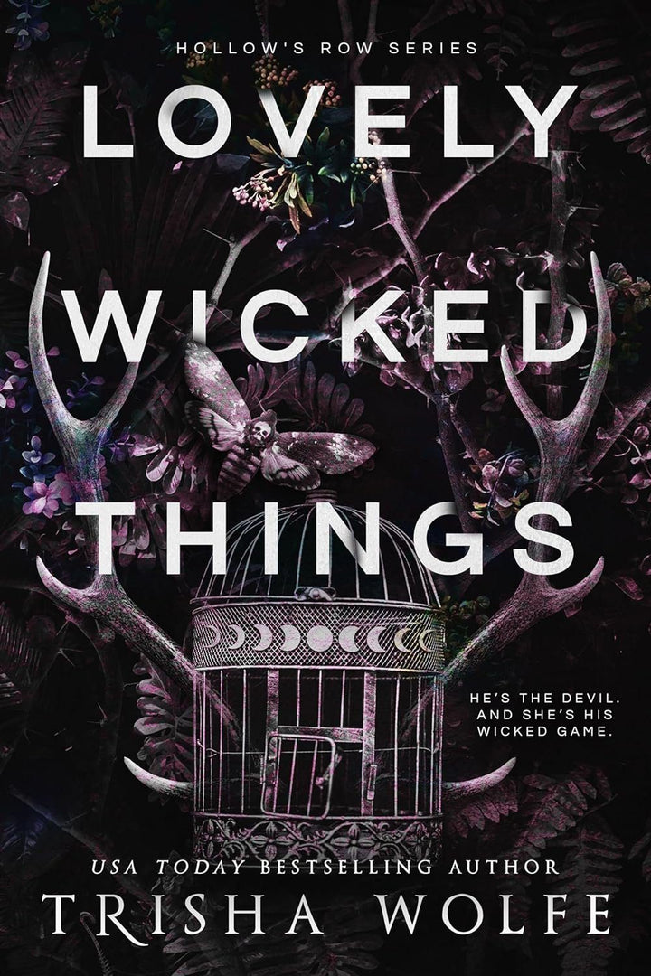 Lovely Wicked Things (Hollow's Row, #3) by Trisha Wolfe