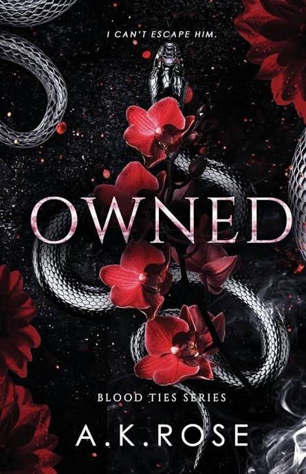 Owned (Blood Ties, #4) by A.K. Rose